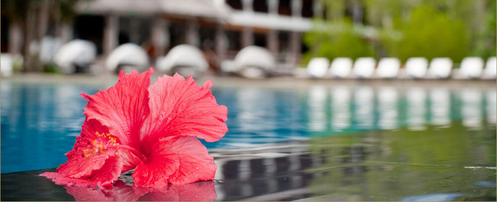 Gayana Marine Resort Kota Kinabalu Zewnętrze zdjęcie